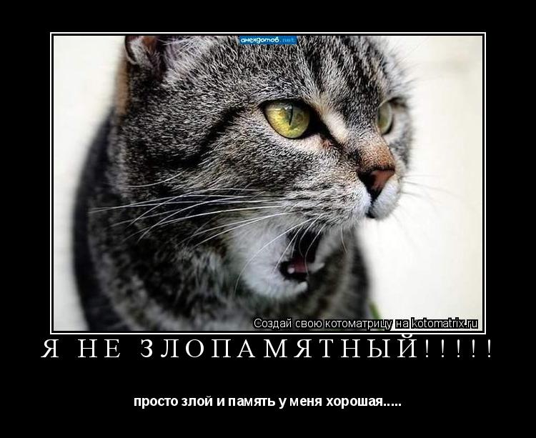 Котоматрица: Я не злопамятный!!!!! просто злой и память у меня хорошая.....