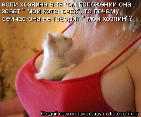 Котоматрица: если хозяина в таком положении она зовет " мой котеночек", то почему сейчас она не говорит " мой хозяин"?