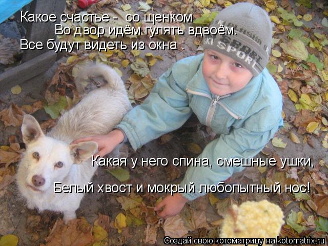 Какое счастье - со щенком Во двор идём гулять вдвоём. Все будут видеть из окна : Какая у него сп... Котоматрица: Какое счастье - со щенком Во двор идём гулять вдвоём. Все будут видеть из окна : Какая у него спина, смешные ушки, Белый хвост и мокрый люб