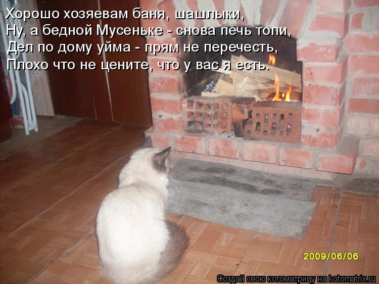 Хорошо хозяевам баня, шашлыки, Ну, а бедной Мусеньке - снова печь топи, Дел по дому уйма - прям не пе... Котоматрица: Хорошо хозяевам баня, шашлыки, Ну, а бедной Мусеньке - снова печь топи, Дел по дому уйма - прям не перечесть, Плохо что не цените, что у вас я ес