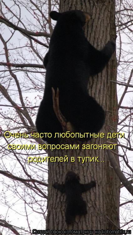 Очень часто любопытные дети своими вопросами загоняют родителей в тупик...... Котоматрица: Очень часто любопытные дети своими вопросами загоняют родителей в тупик...