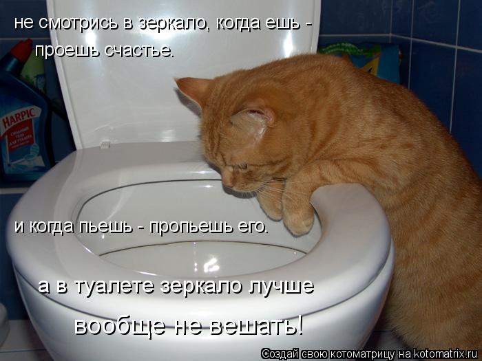 Котоматрица: не смотрись в зеркало, когда ешь - проешь счастье. и когда пьешь - пропьешь его. а в туалете зеркало лучше вообще не вешать!