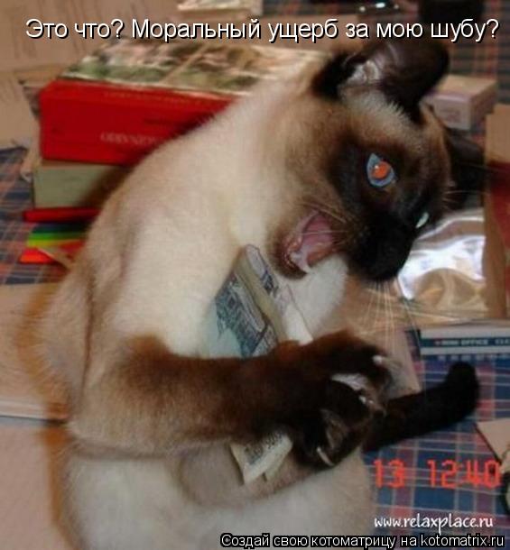 Котоматрица: Это что? Моральный ущерб за мою шубу?