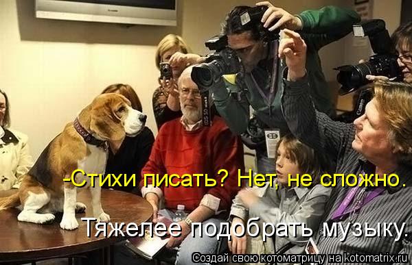 Котоматрица: -Стихи писать? Нет, не сложно. Тяжелее подобрать музыку.