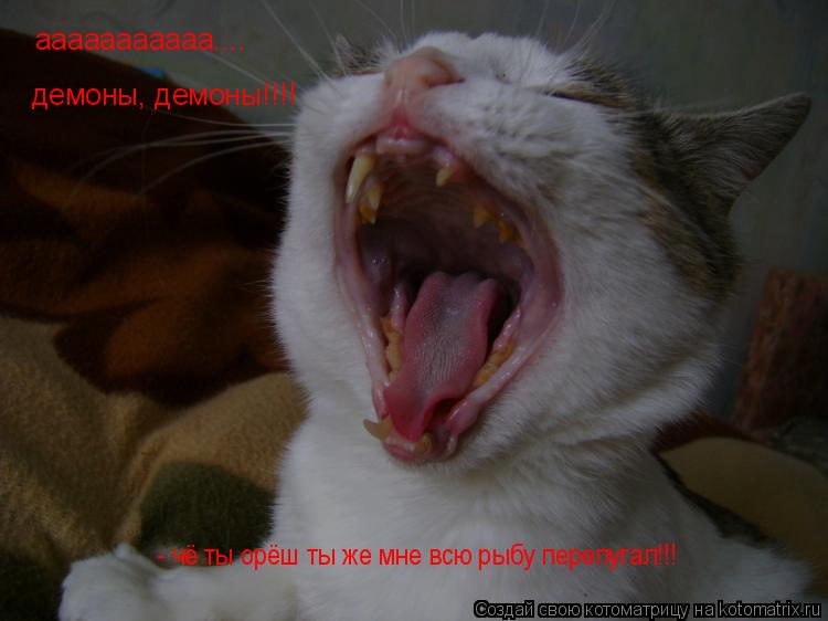 Котоматрица: ааааааааааа.... демоны, демоны!!!! - чё ты орёш ты же мне всю рыбу перепугал!!!