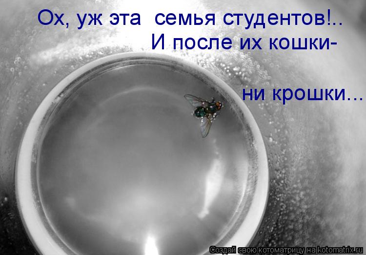 Ох, уж эта семья студентов!.. ни крошки... И после их кошки-... Котоматрица: Ох, уж эта семья студентов!.. ни крошки... И после их кошки-