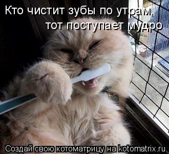 Котоматрица: Кто чистит зубы по утрам, тот поступает мудро