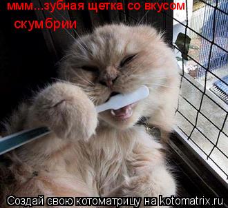 ммм...зубная щетка со вкусом скумбрии... Котоматрица: ммм...зубная щетка со вкусом скумбрии