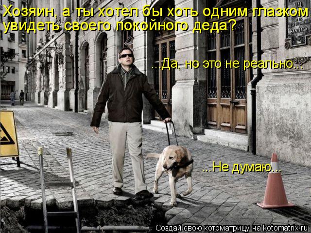 Котоматрица: Хозяин, а ты хотел бы хоть одним глазком увидеть своего покойного деда? ...Да, но это не реально... ...Не думаю...