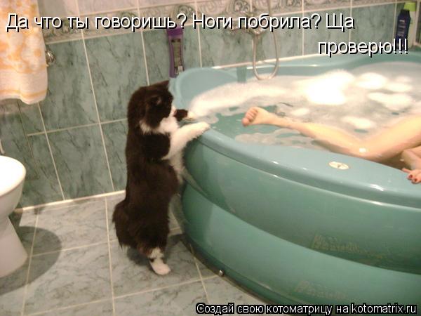 Котоматрица: Да что ты говоришь? Ноги побрила? Ща  проверю!!!