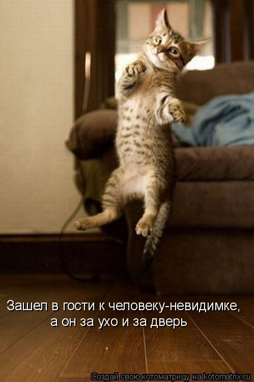 Котоматрица: Зашел в гости к человеку-невидимке,  а он за ухо и за дверь