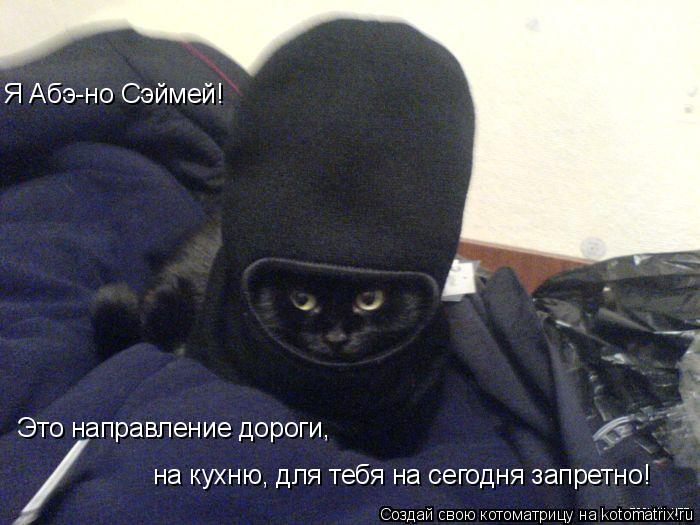 Котоматрица: Я Абэ-но Сэймей!  Это направление дороги, на кухню, для тебя на сегодня запретно!