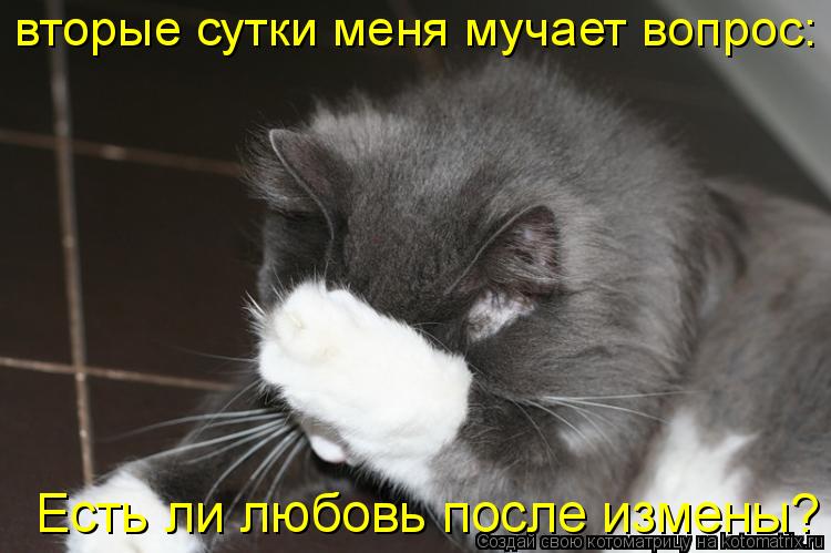 вторые сутки меня мучает вопрос: Есть ли любовь после измены? Есть ли любовь после измены?... Котоматрица: вторые сутки меня мучает вопрос: Есть ли любовь после измены? Есть ли любовь после измены?