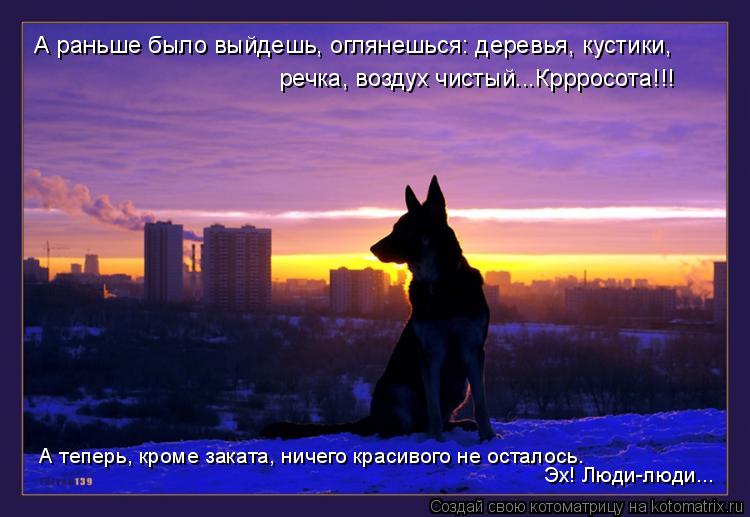 Котоматрица: А раньше было выйдешь, оглянешься: деревья, кустики,  речка, воздух чистый...Кррросота!!!  А теперь, кроме заката, ничего красивого не осталось.