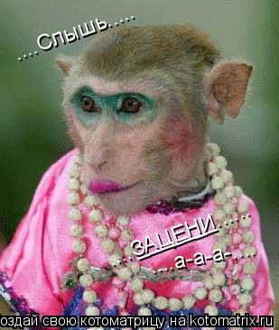 Котоматрица: ....Слышь..... ....ЗАЦЕНИ...... _______ ....а-а-а-....