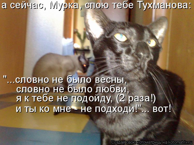 Котоматрица: а сейчас, Мурка, спою тебе Тухманова: "...словно не было весны, словно не было любви. я к тебе не подойду, (2 раза!) и ты ко мне - не подходи!"... вот
