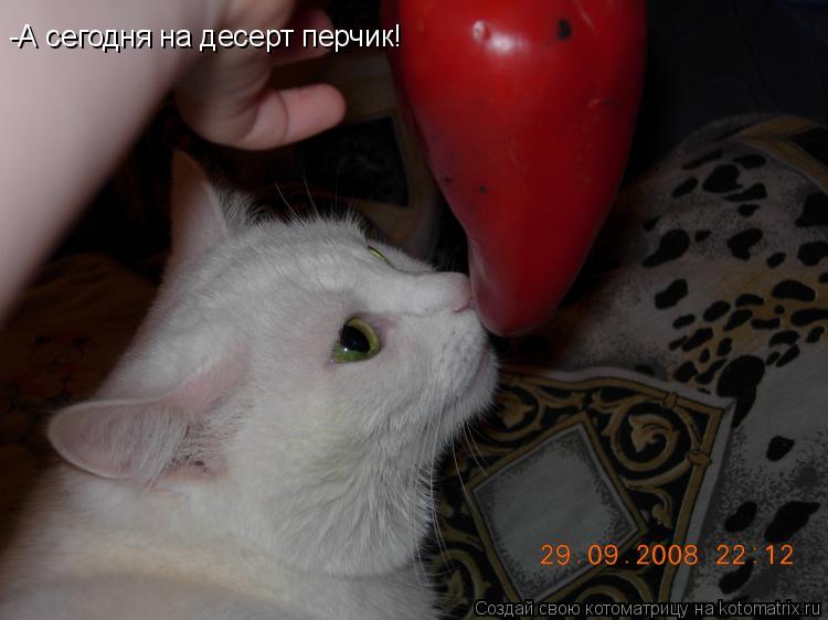 -А сегодня на десерт перчик!... Котоматрица: -А сегодня на десерт перчик!
