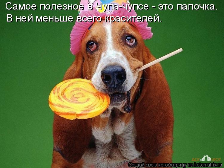 Котоматрица: Самое полезное в Чупа-чупсе - это палочка.  В ней меньше всего красителей.
