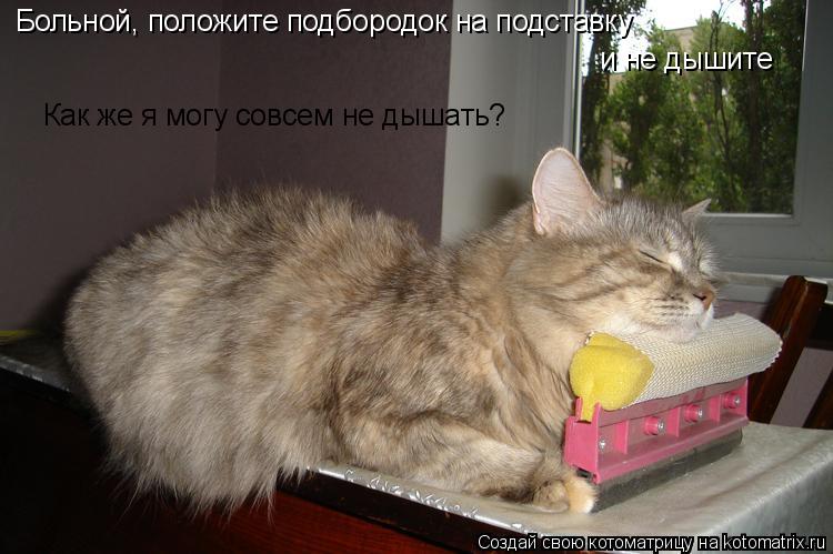 Больной, положите подбородок на подставку и не дышите Как же я могу совсем не дышать?... Котоматрица: Больной, положите подбородок на подставку и не дышите Как же я могу совсем не дышать?