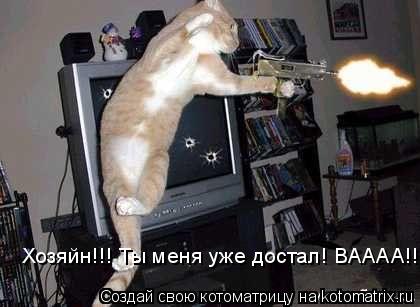 Хозяйн!!! Ты меня уже достал! ВАААА!!!... Котоматрица: Хозяйн!!! Ты меня уже достал! ВАААА!!!