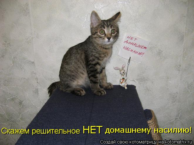 Скажем решительное НЕТ домашнему насилию!... Котоматрица: Скажем решительное НЕТ домашнему насилию!