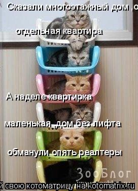 Котоматрица: Сказали многоэтажный дом ,отдельная квартира  отдельная квартира  А наделе квартирка  маленькая ,дом без лифта  обманули опять реалтеры