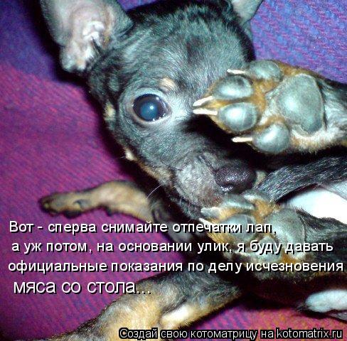 а уж потом, на основании улик, я буду давать официальные показания по делу исчезновения мяса со стола... Котоматрица: а уж потом, на основании улик, я буду давать официальные показания по делу исчезновения мяса со стола... Вот - сперва снимайте отпечатки лап,