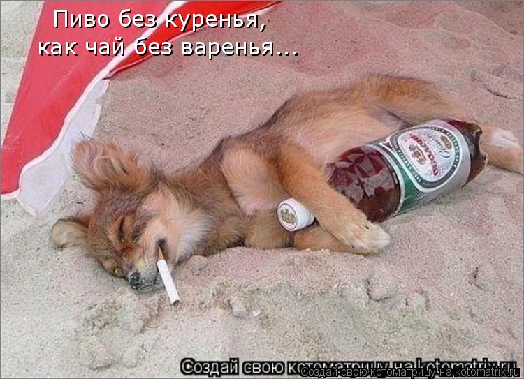 Котоматрица: Пиво без куренья, как чай без варенья...