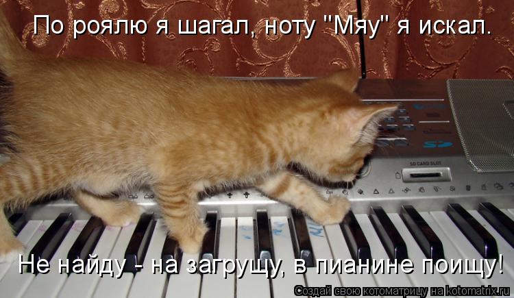 Котоматрица: По роялю я шагал, ноту "Мяу" я искал. Не найду - на загрущу, в пианине поищу!