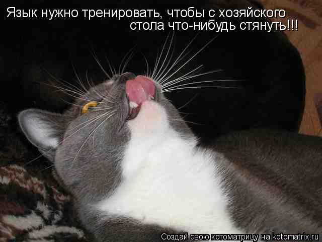 Котоматрица: Язык нужно тренировать, чтобы с хозяйского стола что-нибудь стянуть!!!