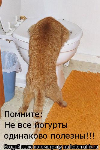 Котоматрица: Помните: Не все йогурты  одинаково полезны!!!