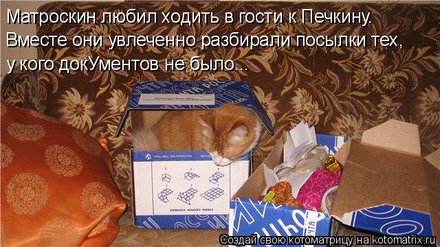 Котоматрица: Матроскин любил ходить в гости к Печкину. Вместе они увлеченно разбирали посылки тех, у кого докУментов не было...