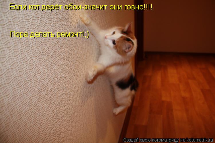 Котоматрица: Если кот дерёт обои-значит они говно!!!! Пора делать ремонт!;)