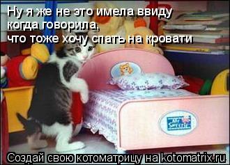 Ну я же не это имела ввиду когда говорила, что тоже хочу спать на кровати... Котоматрица: Ну я же не это имела ввиду когда говорила, что тоже хочу спать на кровати