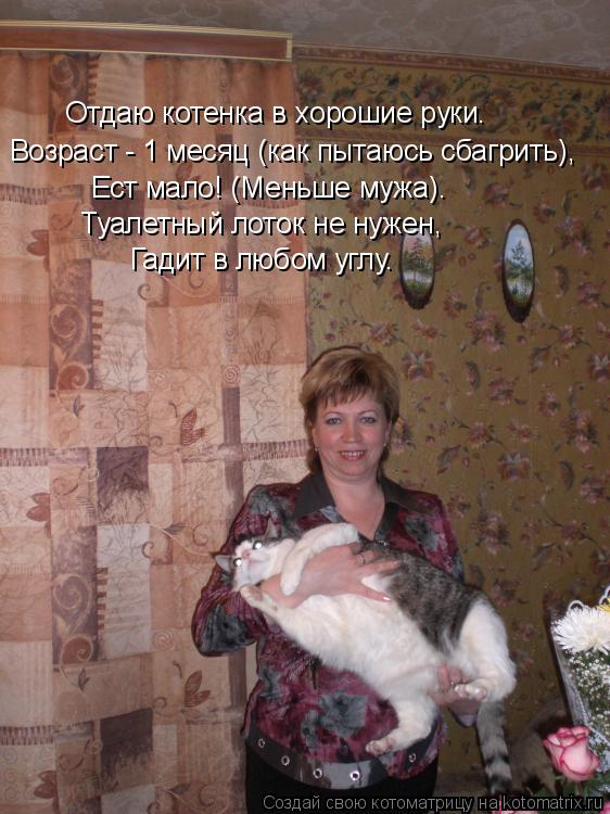 Котоматрица: Отдаю котенка в хорошие руки. Возраст - 1 месяц (как пытаюсь сбагрить), Ест мало! (Меньше мужа). Туалетный лоток не нужен, Гадит в любом углу.