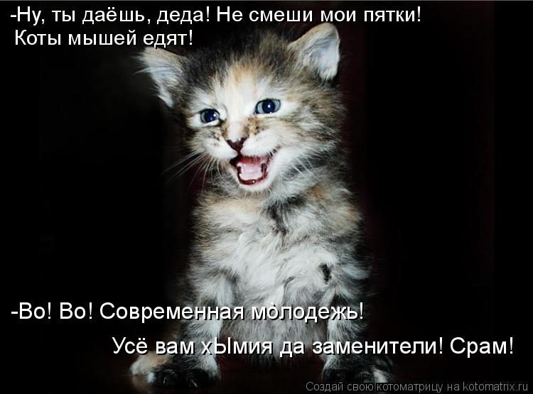 -Ну, ты даёшь, деда! Не смеши мои пятки! Коты мышей едят! -Во! Во! Современная мòлодежь! Усё вам... Котоматрица: -Ну, ты даёшь, деда! Не смеши мои пятки! Коты мышей едят! -Во! Во! Современная мòлодежь! Усё вам хЫмия да заменители! Срам!