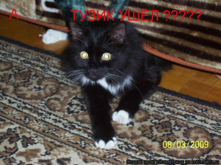 Котоматрица: А ТУЗИК УШЕЛ ?????