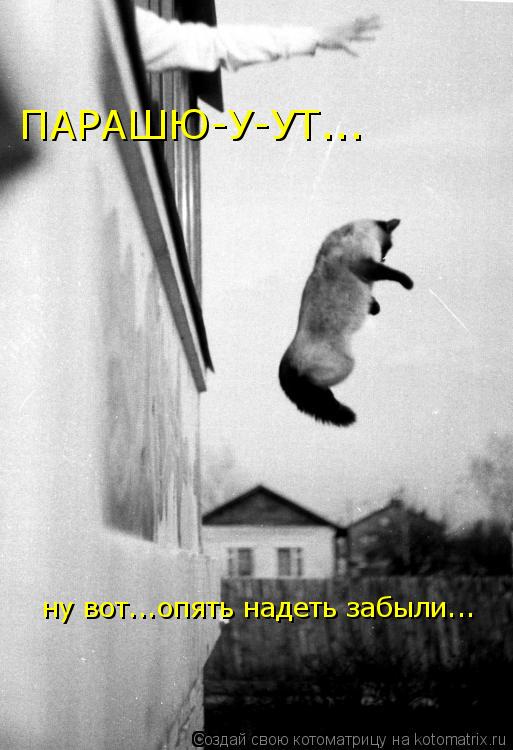 Котоматрица: ПАРАШЮ-У-УТ...  ну вот...опять надеть забыли...