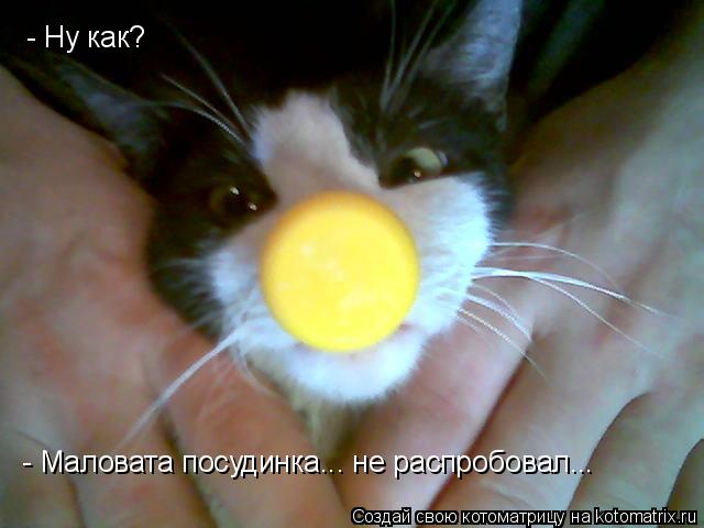 Котоматрица: - Ну как? - Маловата посудинка... не распробовал...