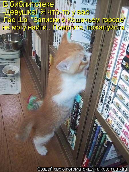 В библитотеке -Девушка! Я что-то у вас Лао Шэ "Записки о Кошачьем городе" не могу найти.. Помогите,... Котоматрица: В библитотеке -Девушка! Я что-то у вас Лао Шэ "Записки о Кошачьем городе" не могу найти.. Помогите, пожалуйста.
