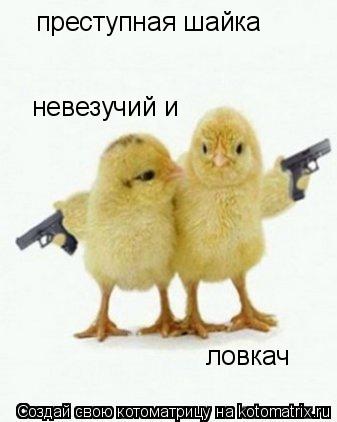 Котоматрица: преступная шайка невезучий и  ловкач