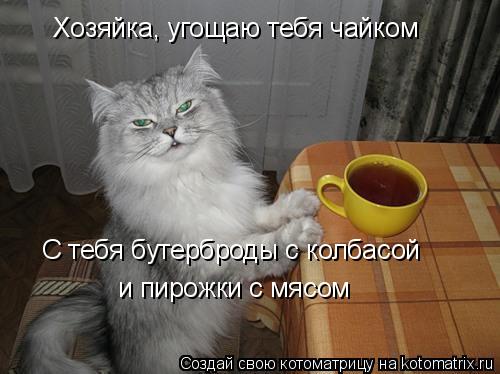 Котоматрица: Хозяйка, угощаю тебя чайком С тебя бутерброды с колбасой и пирожки с мясом