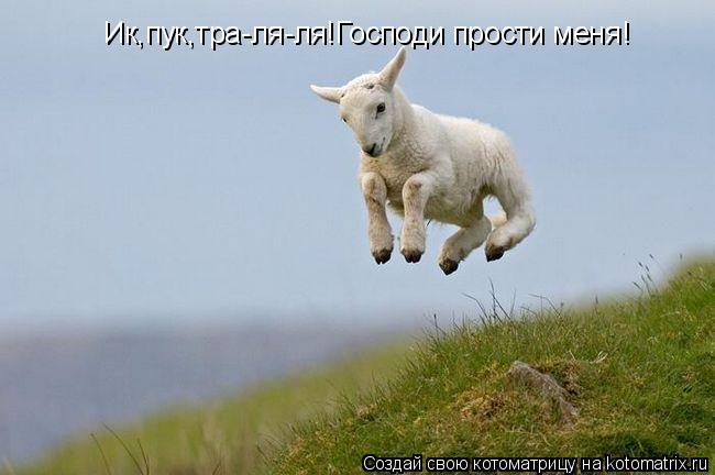 Котоматрица: Ик,пук,тра-ля-ля!Господи прости меня!