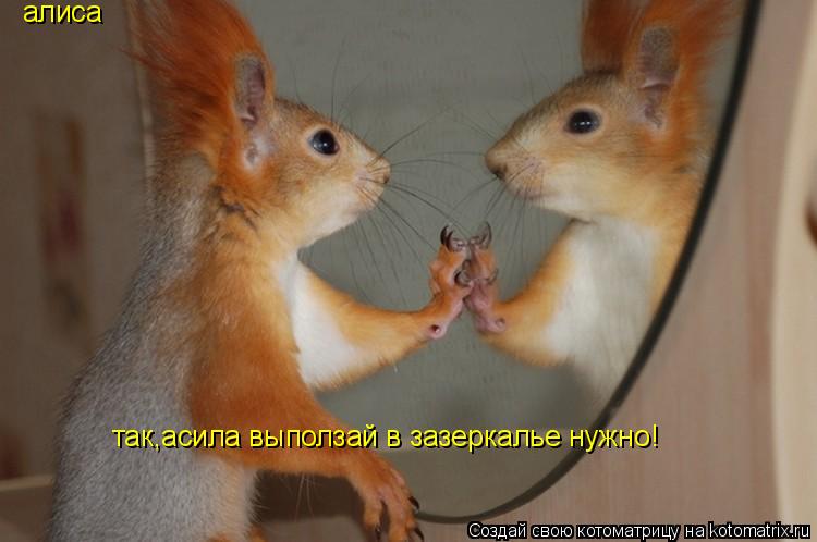 Котоматрица: алиса так,асила выползай в зазеркалье нужно!