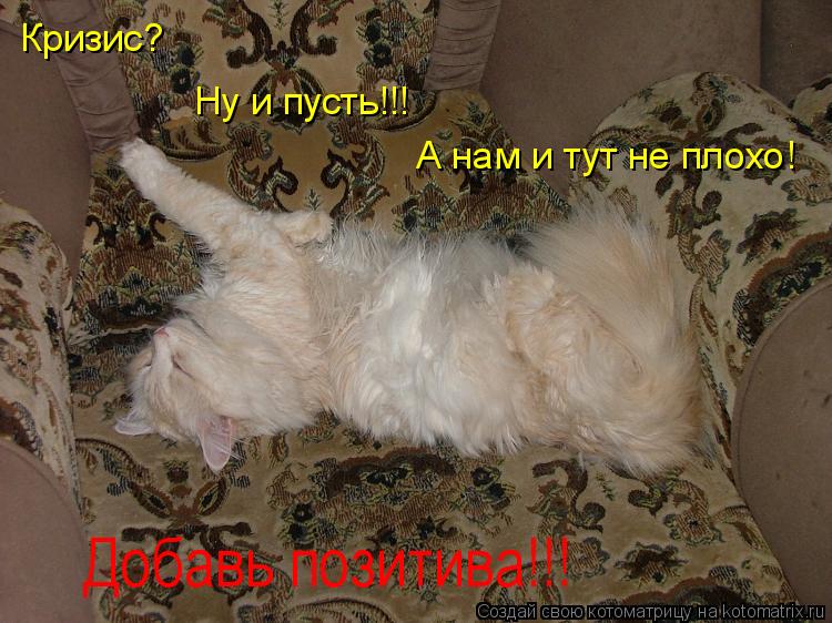 Котоматрица: Кризис? Кризис? Ну и пусть!!! А нам и тут не плохо! Добавь позитива!!!