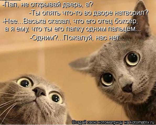 -Нее...Васька сказал, что его отец боксёр, а я ему, что ты его папку одним пальцем... -Пап, не открыв... Котоматрица: -Нее...Васька сказал, что его отец боксёр, а я ему, что ты его папку одним пальцем... -Пап, не открывай дверь, а? -Ты опять что-то во дворе натворил