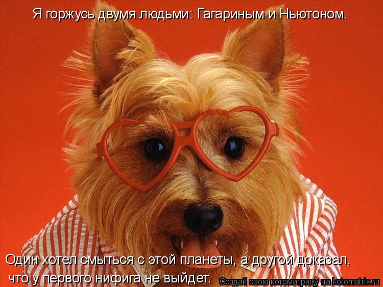 Я горжусь двумя людьми: Гагариным и Ньютоном. что у первого нифига не выйдет. Один хотел смыться с эт... Котоматрица: Я горжусь двумя людьми: Гагариным и Ньютоном. что у первого нифига не выйдет. Один хотел смыться с этой планеты, а другой доказал,
