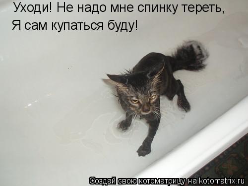 Котоматрица: Уходи! Не надо мне спинку тереть, Я сам купаться буду!