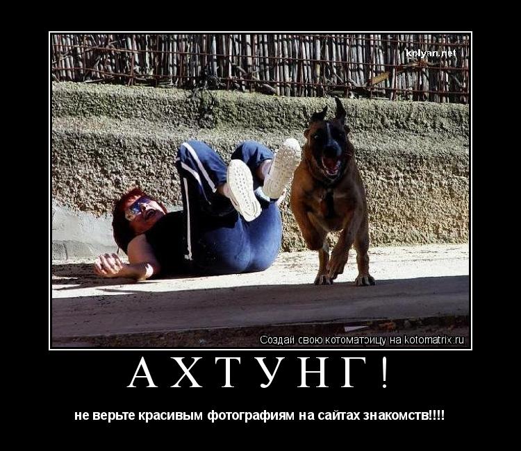 Котоматрица: ахтунг! не верьте красивым фотографиям на сайтах знакомств!!!!