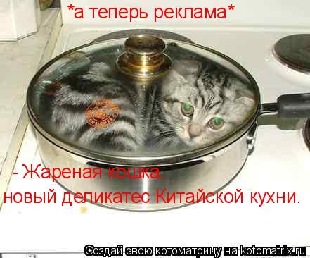 Котоматрица: *а теперь реклама* - Жареная кошка, новый деликатес Китайской кухни.